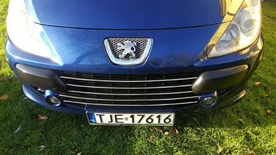 Хром накладки на решетку радиатора Peugeot 307 (хромированные накладки на  решетку радиатора Пежо 307) - Купить хром накладки на авто в Украине |  Интернет магазин Экcпресс-тюнинг