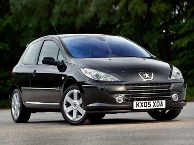 Чип Тюнинг Peugeot 307 и удаление катализатора