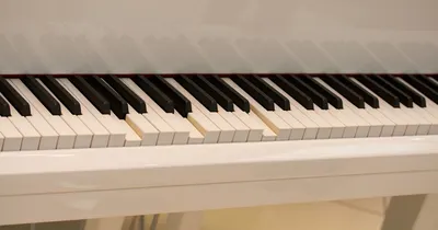 Цифровое пианино RIO MP-17 купить в СТОКМЬЮЗИК