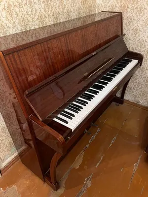 Механическое пианино: самоиграйка из прошлого или рабочая станция  композитора?