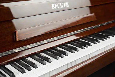 Пианино New Classic Toys 25 клавиш красное купить по цене 9543 ₽ в  интернет-магазине Детский мир