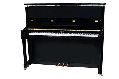 Тульская гармонь Пианино 'Мелодия', модель 120 CL (classic) - купить в  Музторге недорого: акустические пианино, цены