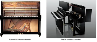 Чем отличается цифровое пианино от акустического