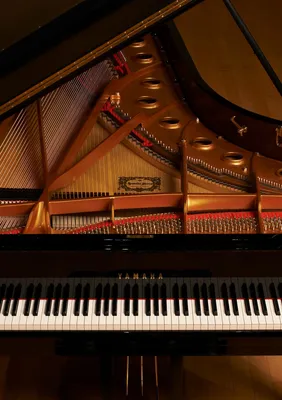 Цифровое пианино,Портативный 88-клавишный складной,Белый - купить с  доставкой по выгодным ценам в интернет-магазине OZON (801527146)