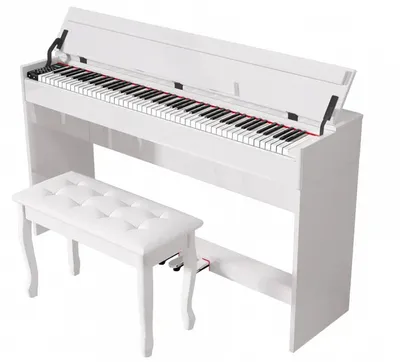Цифровые пианино купить в Минске по лучшей цене в интернет-магазине Piano.by