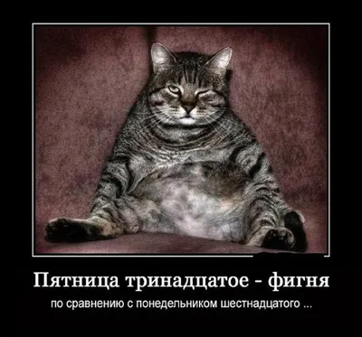 Пятница 13-е: прикольные, смешные и страшные открытки ко дню неприятностей  - МК Новосибирск