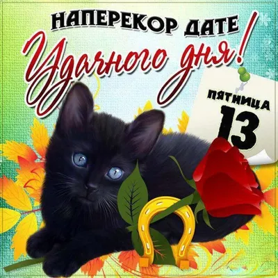 Пятница 13-е: прикольные и мистические открытки ко дню неприятностей - МК  Новосибирск
