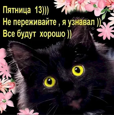 С самым \"охуенным\" днем в году! :) / красивые картинки :: пятничная  паранойя :: пятница :: пятница 13-е :: Игры :: art (арт) :: котэ  (прикольные картинки с кошками) :: Смешные комиксы (