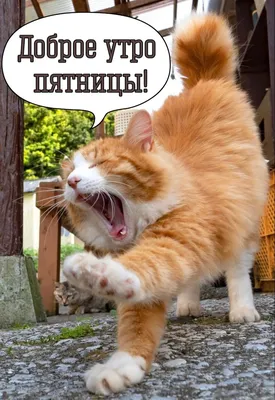Пятница, 13-е | Славянск-на-Кубани 2.0