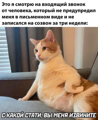 Честит ден на... - Районный Дом культуры, Тараклия | Facebook