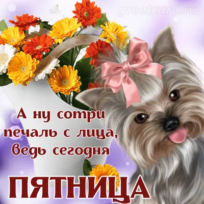 Файл:Пятница (с 2013).svg — Википедия