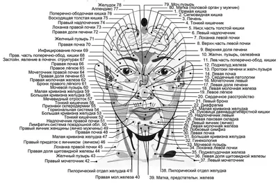 Гирудотерапия, лечение пиявками в Ульяновске — Многопрофильная клиника  Н.Березиной Ульяновск