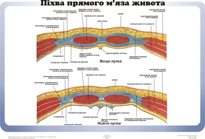 Кашпо InterLink 500020 Пихва неокрашенное по цене 3487 ₽/шт. купить в  Москве в интернет-магазине Леруа Мерлен