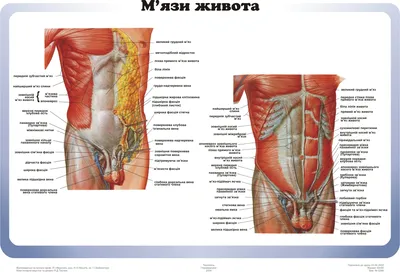 Пихва-пахва + весёлые картинки.