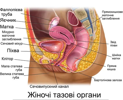 Пихва» — создано в Шедевруме