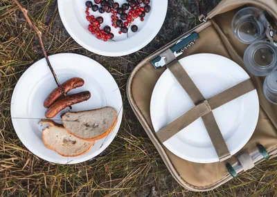 Идеальный пикник на природе: что взять, как организовать - Блог компании  «Арктика»