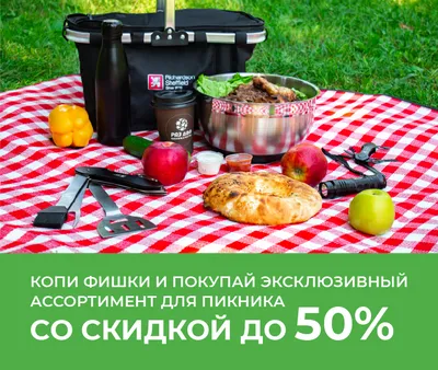 Собираемся на пикник: что взять с собой для комфортного отдыха – блог  интернет-магазина Порядок.ру