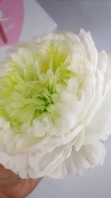Белый лебедь из 51 пиона, Цветы и подарки в Москве, купить по цене 133160  RUB, Монобукеты в Flora Flowers с доставкой | Flowwow