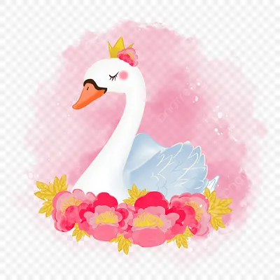 Сад Тысячи Цветов on Instagram: \"#доброе_доброе_утро!!!🌸🌸🌸👍👍👍 . Пион  Белый лебедь!!! Совсем молоденький...второй год цветёт...в прошлом году  один цветок выдал...Потрясающий аромат, стоит без опоры, головы гордо  держит, ведь лебедь же ...