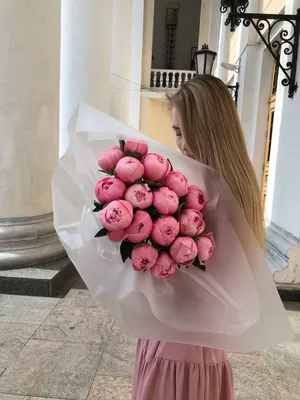 ПИОН ЭТЧЕД САЛМОН купить по цене 410₽ за 1 шт. в Санкт-Петербурге в  интернет-магазине «Посадика»