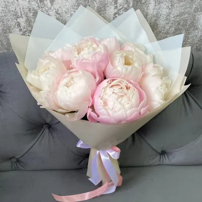 Пион Гардения – Paeonia Gardenia.