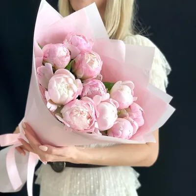 Пион Гардения 'Gardenia' - белый травянистый саженец