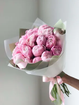 Пионы Гардения - купить в Москве | Flowerna