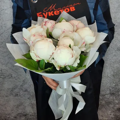 ꕤ Пион Gardenia • купить Пион Gardenia по цене от 260.99 грн. в Украине