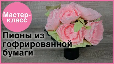 Пионы из гофрированной бумаги своими руками: пошаговый мастер-класс с фото