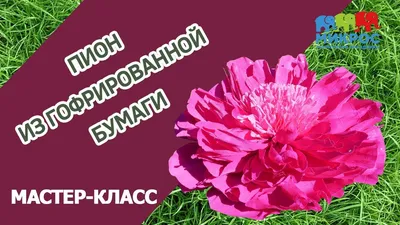 Цветы из бумаги своими руками: схемы и шаблоны