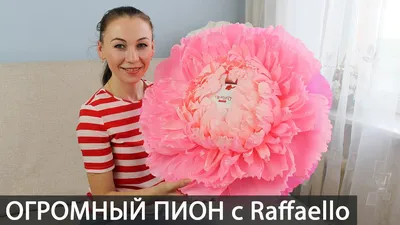 Как начать заниматься ростовой флористикой? Пошаговая инструкция | Flowers  Day. Декор | Дзен