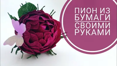 Как сделать пион из гофрированной бумаги: большие пионы своими руками -  пошагово, поэтапно
