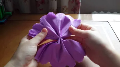 Пионы из гофрированной бумаги | Поделки на Подарки.ру
