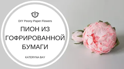 Пионы из гофрированной бумаги: пошаговый мастер-класс для новичков с фото и  описанием, как сделать декоративные цветы для интерьера