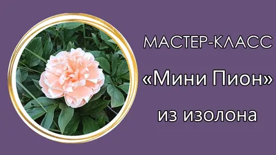 Светильники из изолона. - Светильники из изолона. - Ростовые цветы. -  bigflowersua