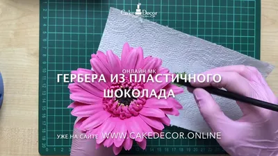 Простые цветы из мастики для начинающих - 63 фото