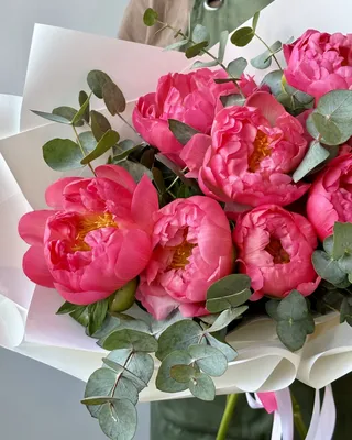 Пион \"Корал Сансет\" - цена, купить цветы упаковками с доставкой в Москве -  магазин ПРОСТОЦВЕТЫ