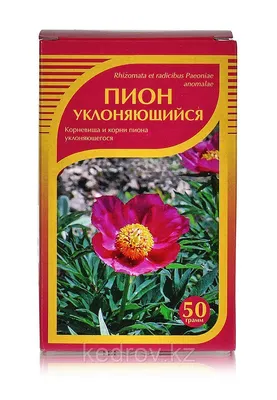 Пионы: травянистые, древовидные, ИТО-гибриды. Степень махровости. Сроки  цветения | Интернет-магазин садовых растений