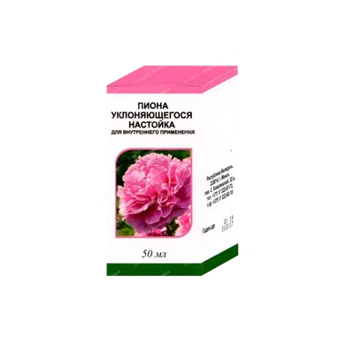 ꕤ Пион Anemoniflora • купить Пион Anemoniflora по цене от 229.99 грн. в  Украине