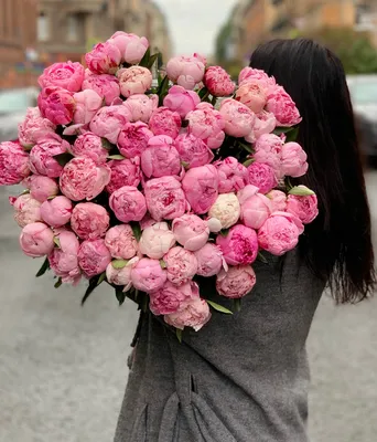 Пион \"Сара Бернар Розовый\" - цена, купить цветы упаковками с доставкой в  Москве - магазин ПРОСТОЦВЕТЫ