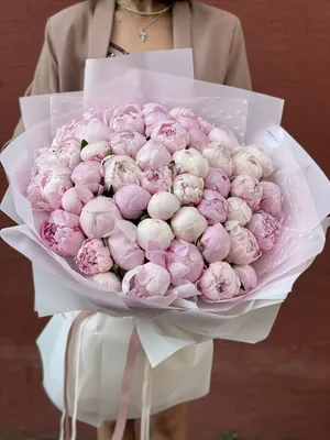 Купить 51 розовый пион Сара Бернар в Москве - Пионы Москва