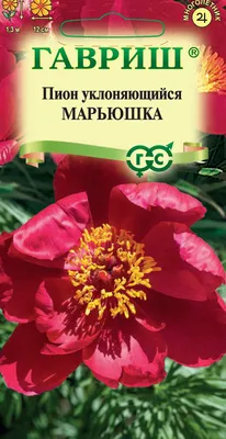 Пион уклоняющийся Марьин Корень / Paeonia anomala | Декоративные растения и  кустарники , каталог саженцев \"Вострасад\"