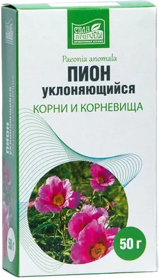 Марьин корень или пион уклоняющийся (Paeonia anomala) Stock Photo | Adobe  Stock