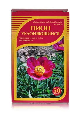 Пион уклоняющийся, корень и корневище 50гр. купить в Москве в одном из  наших магазинов или с бесплатной доставкой по Москве в интернет-магазине по  низкой цене. Рецепты, применение, отзывы.