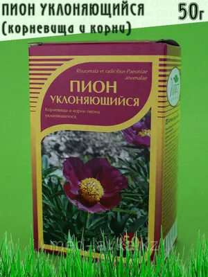 Пион уклоняющийся, Марьин корень (50 семян).