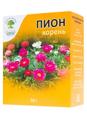 Пион уклоняющийся - Пион - Травянистые растения для открытого грунта -  GreenInfo.ru