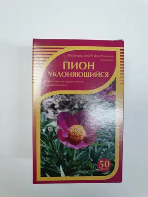 Биоразнообразие Алтайского заповедника. Пион уклоняющийся | Altzapoved |  Дзен