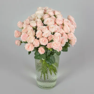 Чистый огонь: пионовидные розы и соцветия озотамнуса по цене 7675 ₽ -  купить в RoseMarkt с доставкой по Санкт-Петербургу