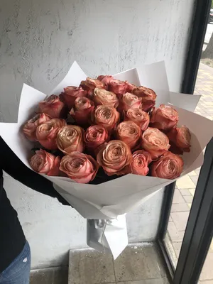 Пионовидные розы купить. Цветаева Томск
