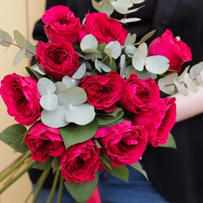 Джульетт - Пионовидные розы – Sever Flowers